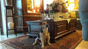 Отель B&b Silvana  Monteggia